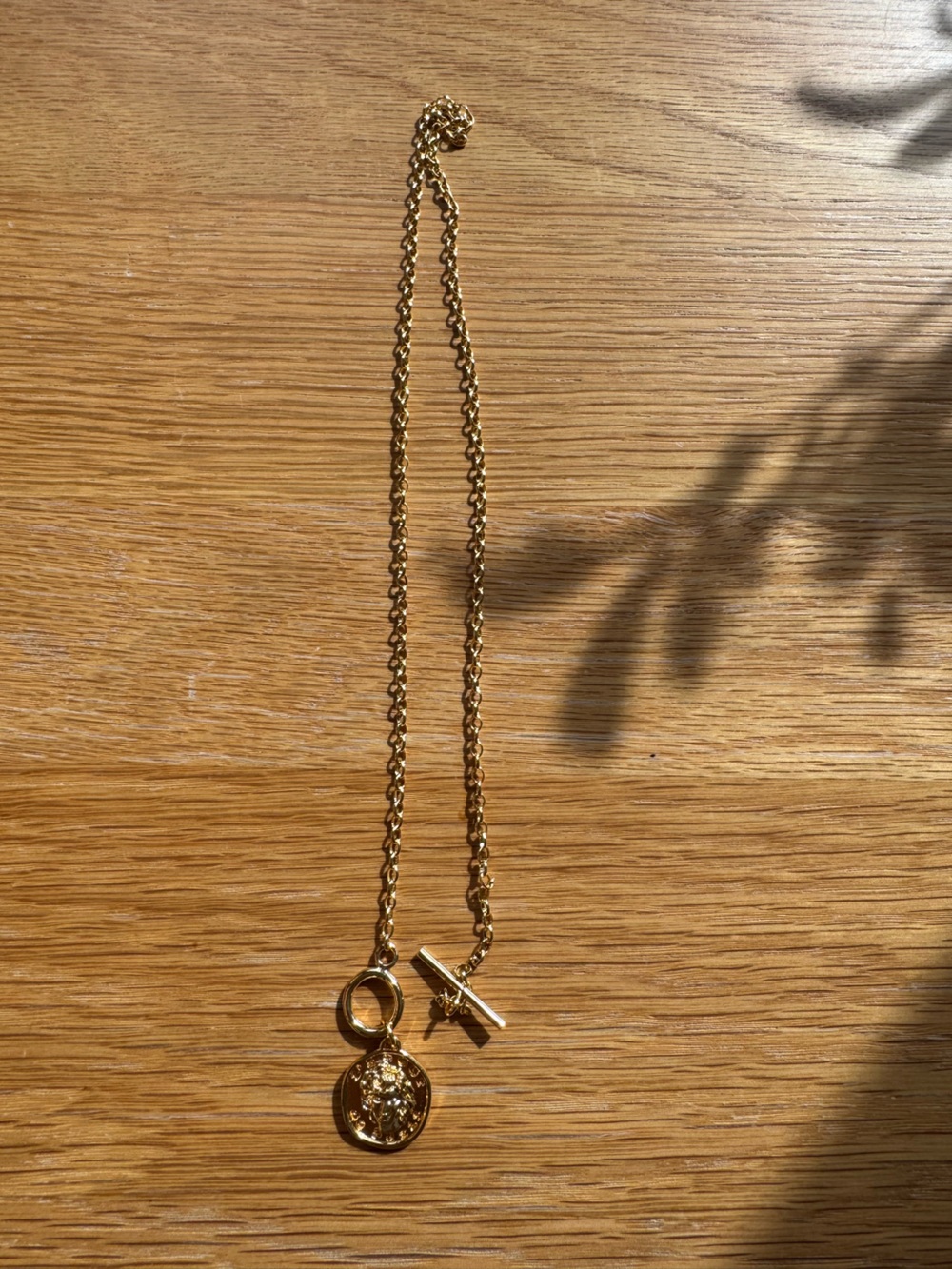 Gold Medallion Toggle Necklace - Picture 3 of 4